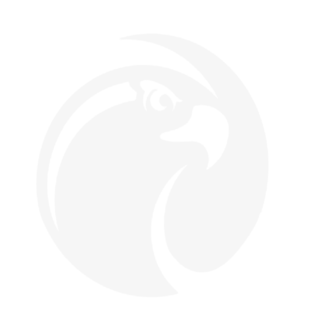 Falcon Clinic Logo White